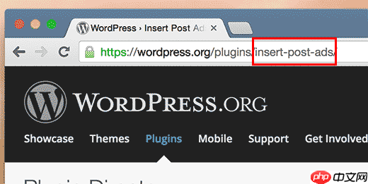 如何在 WordPress 中显示插件和主题信息