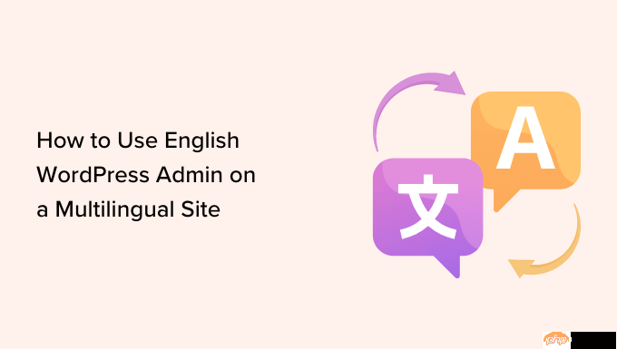 如何在多语言网站上使用英文 WordPress 管理员