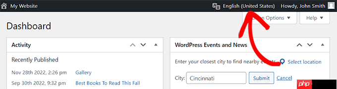 如何在多语言网站上使用英文 WordPress 管理员