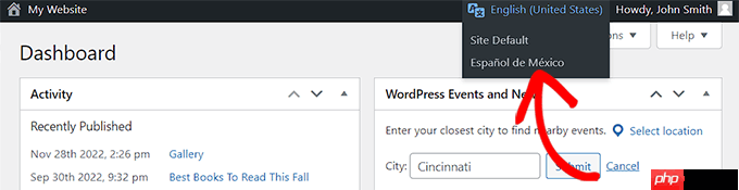 如何在多语言网站上使用英文 WordPress 管理员