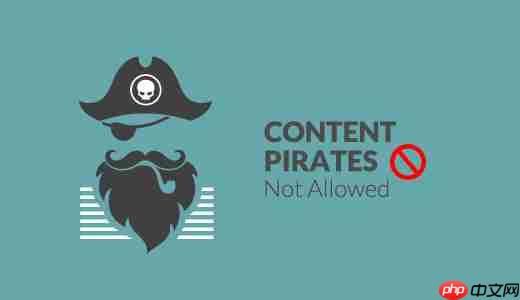 如何使用 WordPress 的 Frame Buster 阻止内容盗版