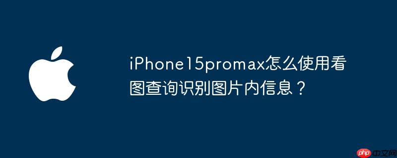 iPhone15promax怎么使用看图查询识别图片内信息？
