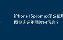 iPhone15promax怎么使用看图查询识别图片内信息？