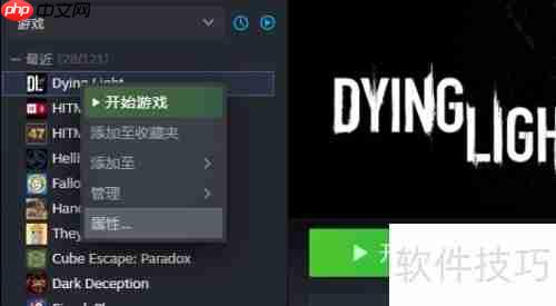 解决Steam平台消逝的光芒无法启动问题的方法