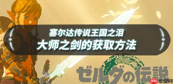 王国之泪大师剑怎么拿