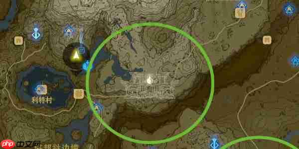 王国之泪大师剑怎么拿