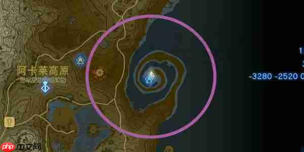 王国之泪大师剑怎么拿