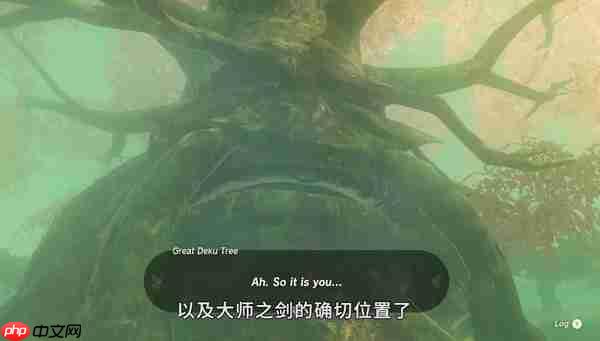 王国之泪大师剑怎么拿