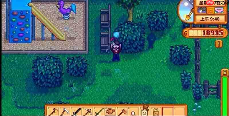 星露谷物语冬日谜团怎么过 冬日谜团任务流程攻略