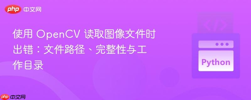 使用 opencv 读取图像文件时出错:文件路径、完整性与工作目录