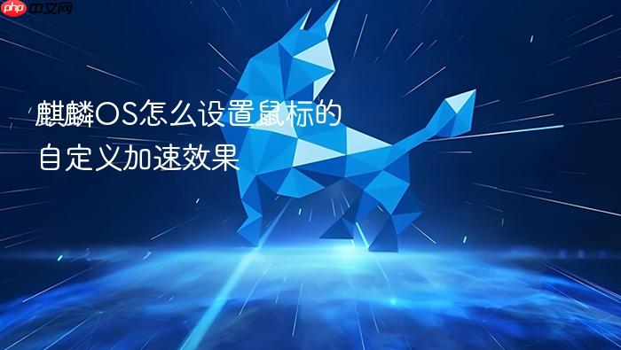 麒麟os怎么设置鼠标的自定义加速效果