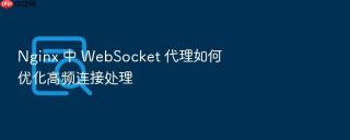 nginx 中 websocket 代理如何优化高频连接处理