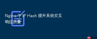 Nginx 中 IP Hash 提升系统交互响应质量