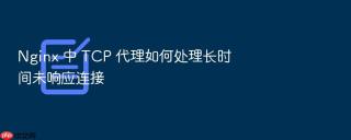 Nginx 中 TCP 代理如何处理长时间未响应连接