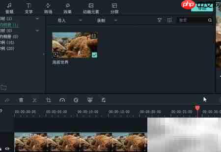 黑白电视风格视频制作技巧