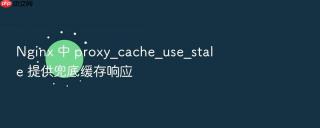 nginx 中 proxy_cache_use_stale 提供兜底缓存响应