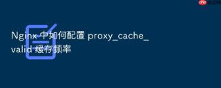 nginx 中如何配置 proxy_cache_valid 缓存频率
