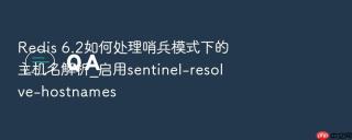 redis 6.2如何处理哨兵模式下的主机名解析_启用sentinel-resolve-hostnames