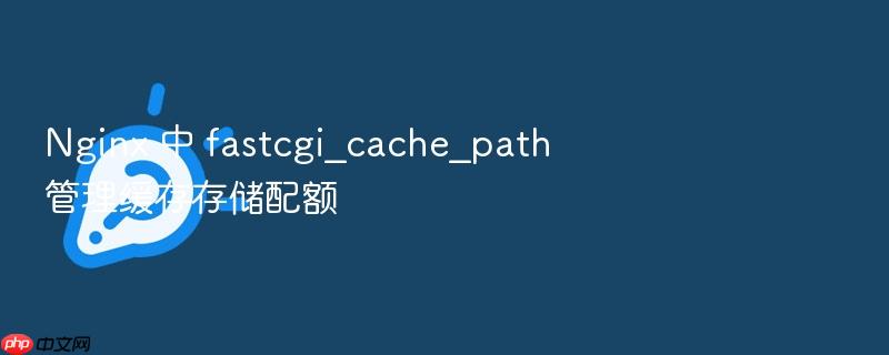 nginx 中 fastcgi_cache_path 管理缓存存储配额