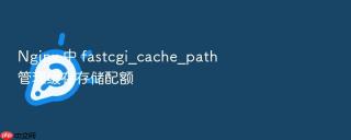 nginx 中 fastcgi_cache_path 管理缓存存储配额