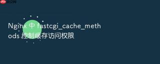 Nginx 中 fastcgi_cache_methods 控制缓存访问权限