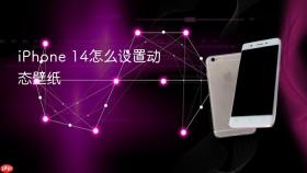 iphone 14怎么设置动态壁纸