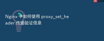 Nginx 中如何使用 proxy_set_header 传递验证信息