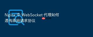 nginx 中 websocket 代理如何透传原始请求协议