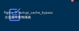 Nginx 中 fastcgi_cache_bypass 实现缓存策略隔离