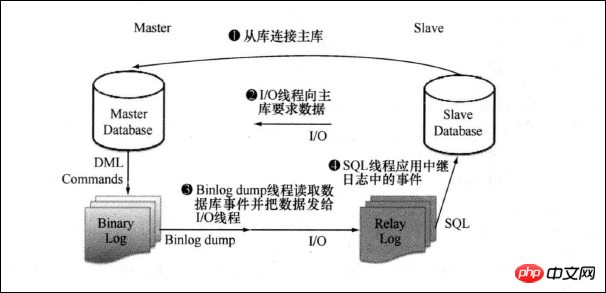 嘗試搭建MySQL master-slave主從復(fù)制的環(huán)境-小浪學(xué)習(xí)網(wǎng)