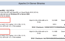 Windows 下 Apache 配置（阿里云ECS为例）