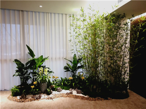 最旺宅的植物是什么