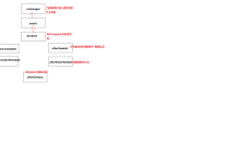 分享Angular的生命周期钩子图例