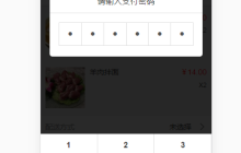 vue支付密码的图文实例