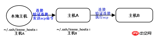 ssh的基本介紹和SSH服務(wù)(包含隧道內(nèi)容)