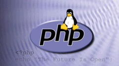 PHP prevents users from submitting forms repeatedly