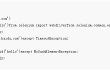 关于selenium用法的详解