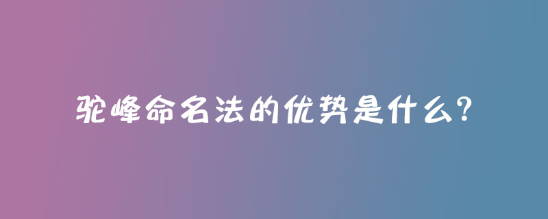 驼峰命名法的优势是什么?