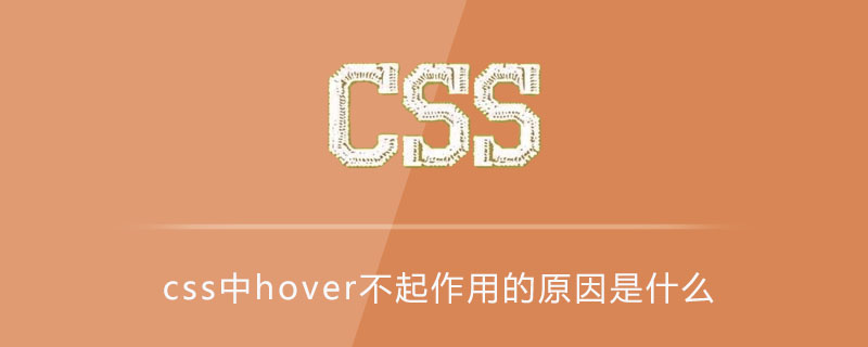 Css中hover不起作用的原因是什么 Html中文网