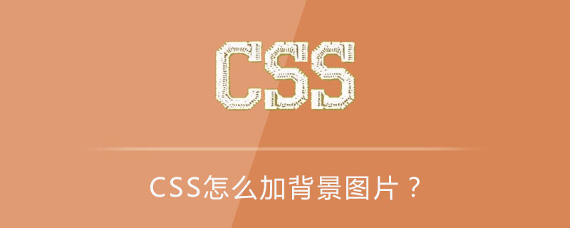 Css怎么加背景图片 Html中文网