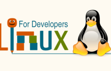 详解Linux虚拟主机相关问题