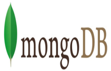 MongoDB在.Net中的使用方法详解