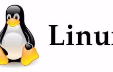 教你如何在linux系统系复制和移动文件夹