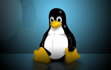 Linux教程之Nginx的并发连接数和连接状态查询