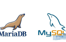 关于使用视图的详细介绍