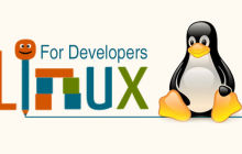 Linux ls命令详解