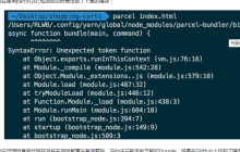 使用parcel.js打包出错的问题