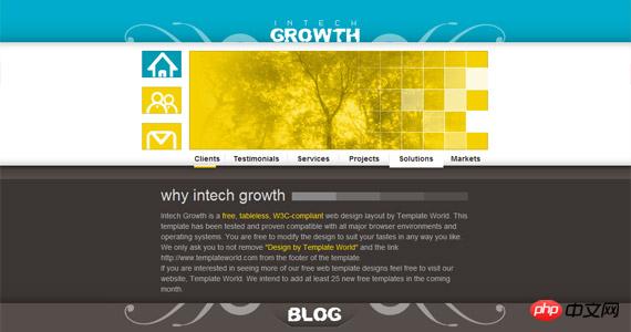 intech-growth-xhtml-css-template