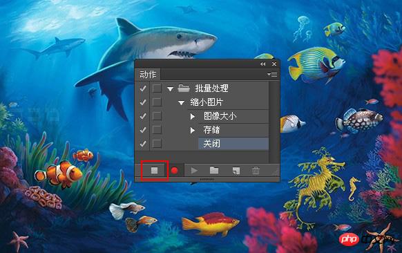 PhotoShop怎么批量处理图片 PS批量处理图片教程介绍