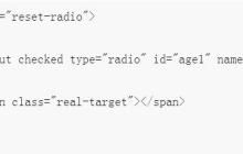 CSS实现radio和checkbox的 实现效果